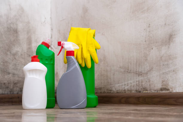 Mold Remediation for Rental Properties in Gallup, NM